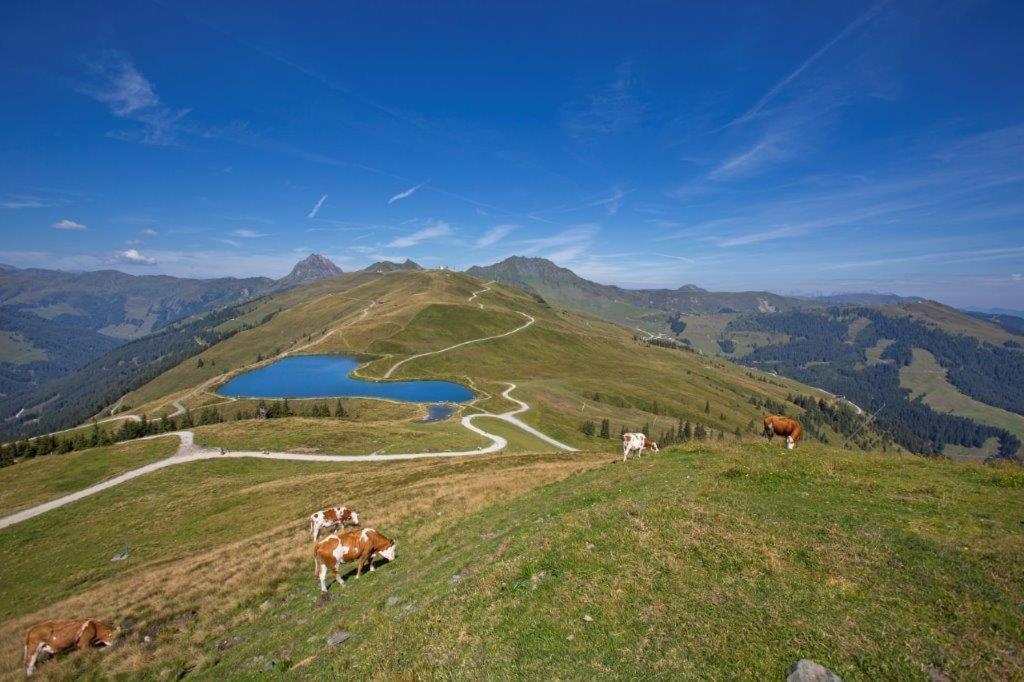 Garni Roesslhof Hotel Hollersbach im Pinzgau Eksteriør billede